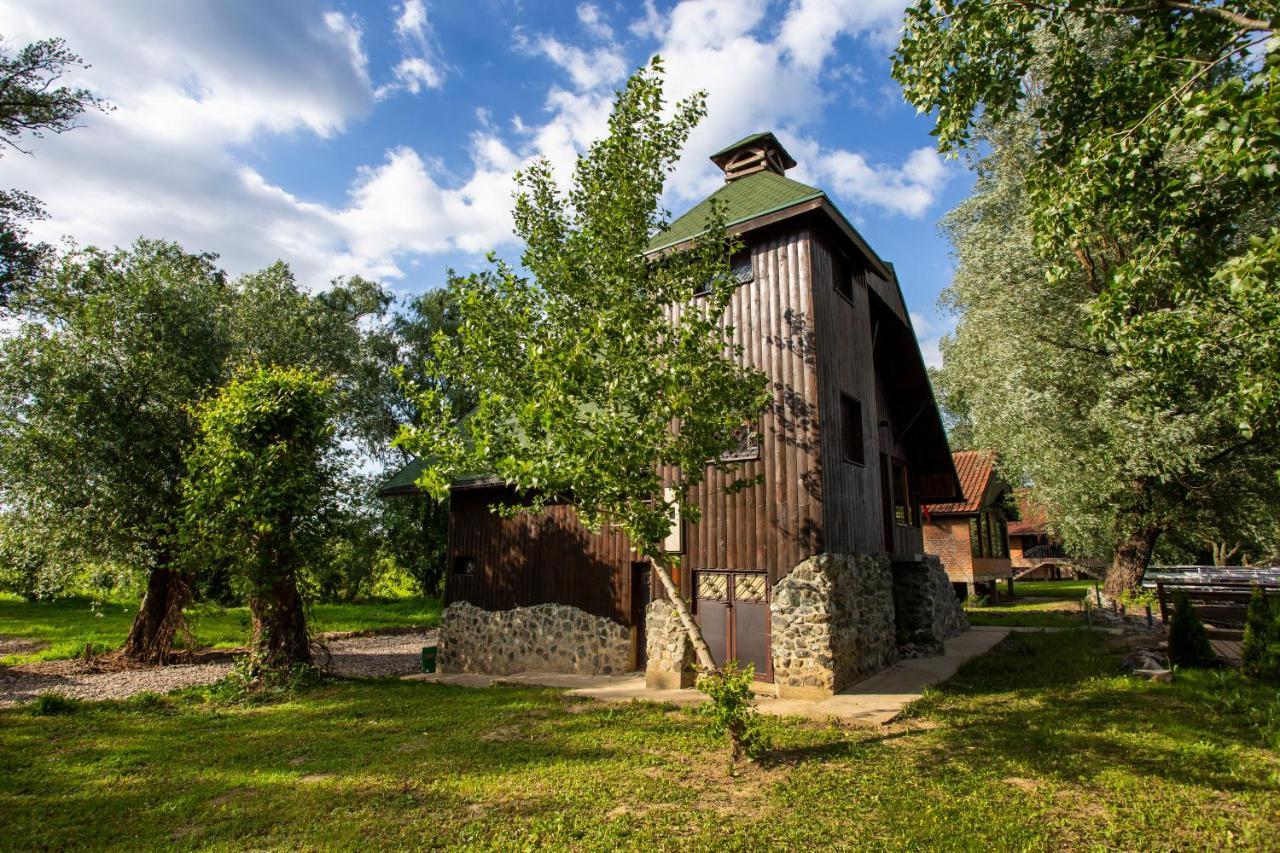 River House Vasa Белград Екстериор снимка
